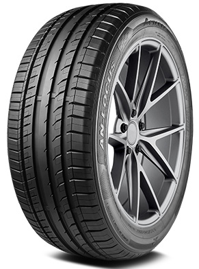 275/45R21 110W Antares Ingens-Locus
