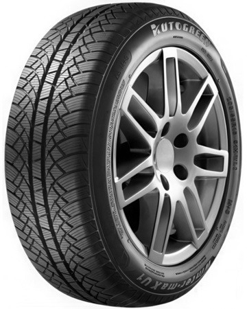 175/65R14 82T Autogreen WL2